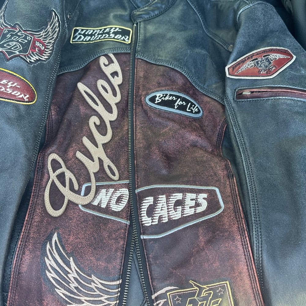Harley-Davidson Men's Black and Burgundy Leather Jacket